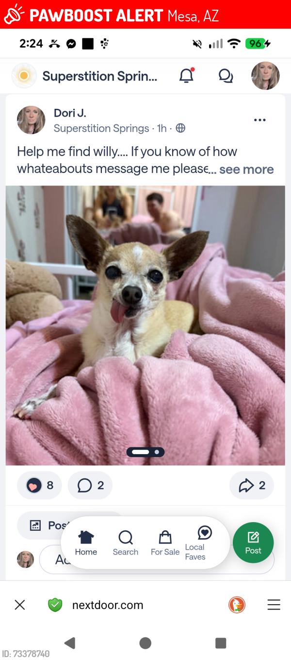 Lost Male Dog last seen Crimson and southern postoffice, Mesa, AZ 85209