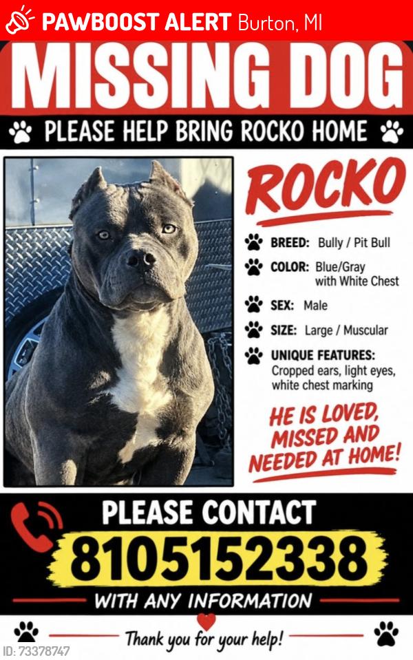 Lost Male Dog last seen Dort & Hemphill, Burton, MI 48529