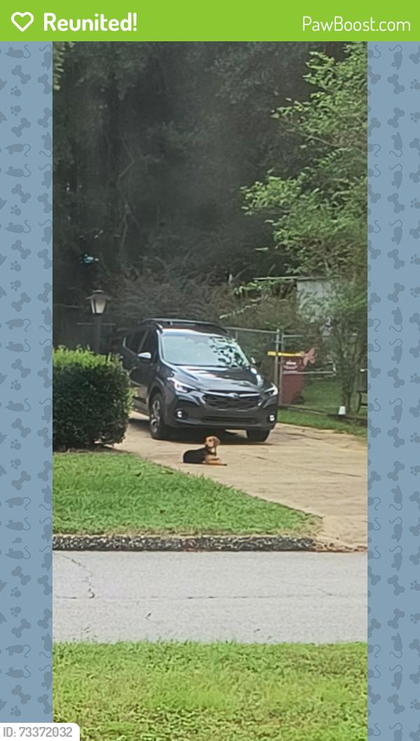 Reunited Unknown Dog last seen Near Jacob Dr Crestview FL 32536, Crestview, FL 32536