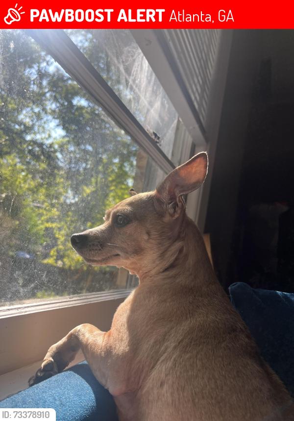 Lost Male Dog last seen Near oak shadow ct ne, Atlanta, GA 30345