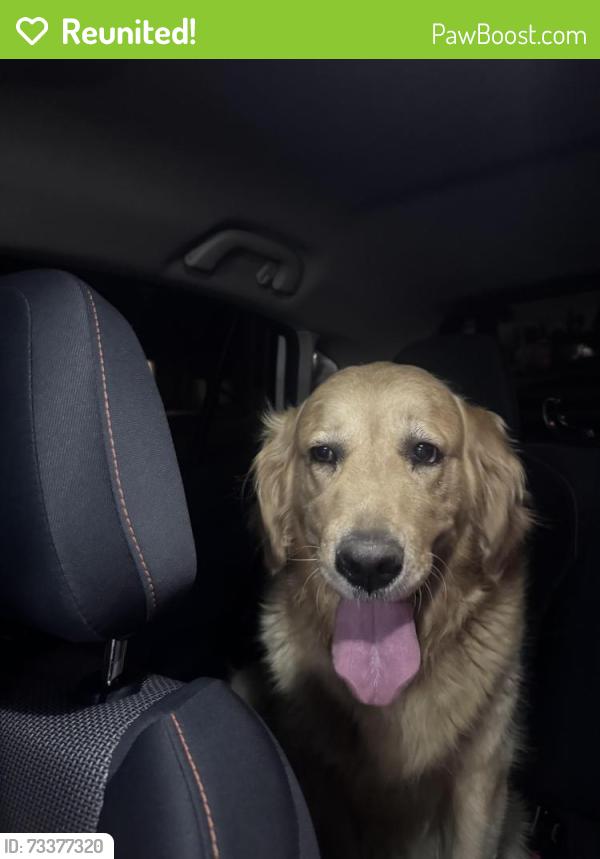 Reunited Male Dog last seen Shelly Way, Riverside, CA 92503
