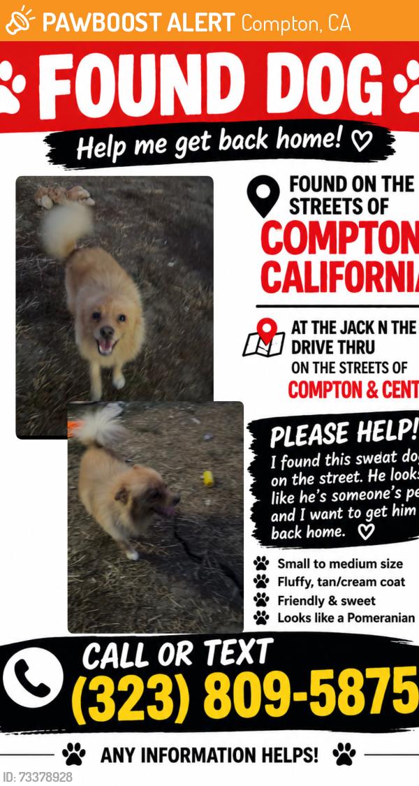 Found/Stray Male Dog last seen crossing central ave and compton blv, Compton, CA 90220
