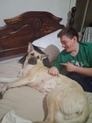 Lost Female Dog last seen galts mill rd, Madison Heights, VA 24572