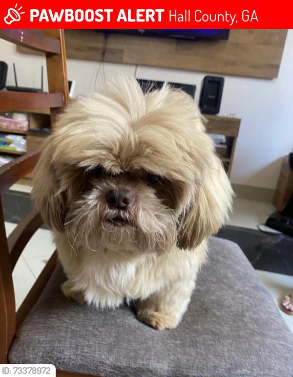 Lost Male Dog last seen Dogwood Ln & Beach Haven Dr - Gainesville GA, Hall County, GA 30504