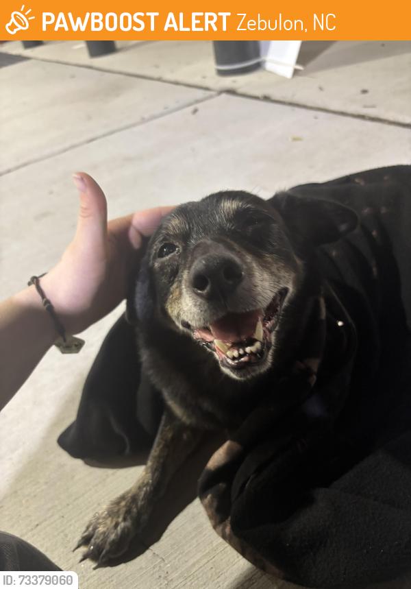 Found/Stray Unknown Dog last seen Near eleven zebulon, Zebulon, NC 27597