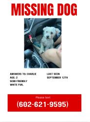 Reunited Male Dog last seen Near N 88th Dr, Phoenix, AZ 85037, USA, Phoenix, AZ 85037