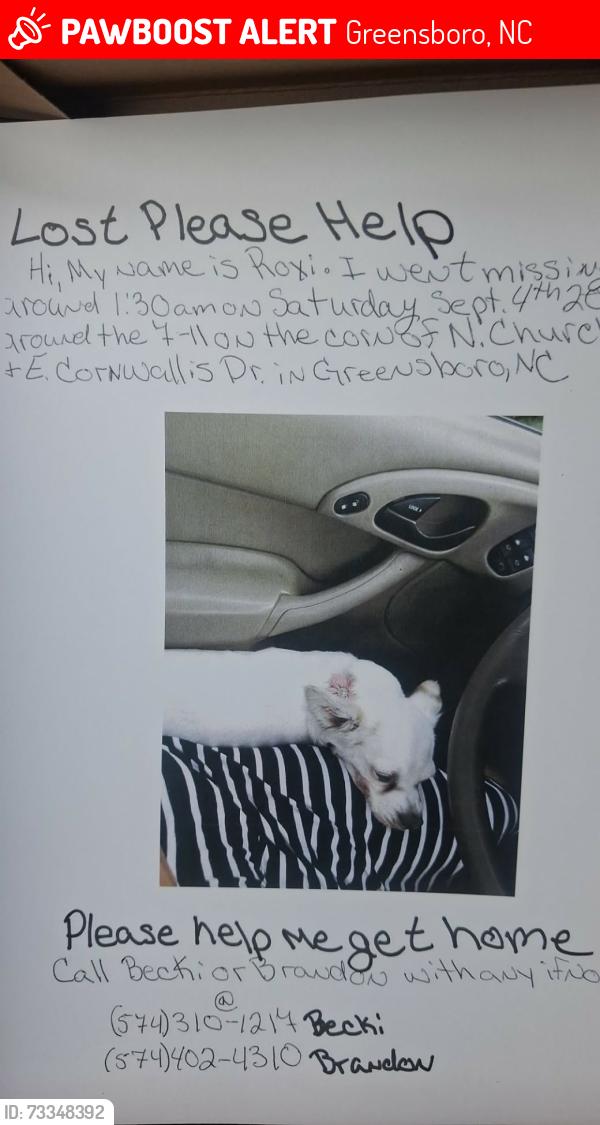 Lost Female Dog last seen 7-11, Greensboro, NC 27405