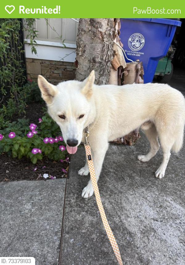 Reunited Male Dog last seen Cleveland TN, Cleveland, TN 37312