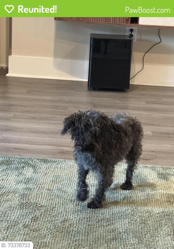Reunited Male Dog last seen West mallard creek church rd, Charlotte, NC 28262