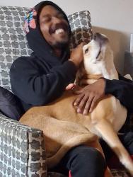 Lost Male Dog last seen Us they 19, Clearwater, FL 33764
