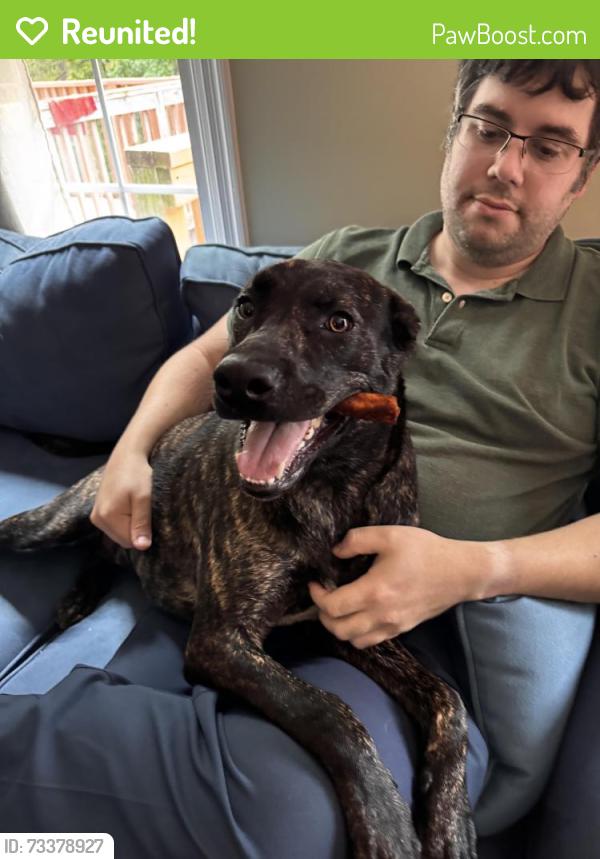 Reunited Female Dog last seen Near Cantwell road, Woodlawn, MD 21244