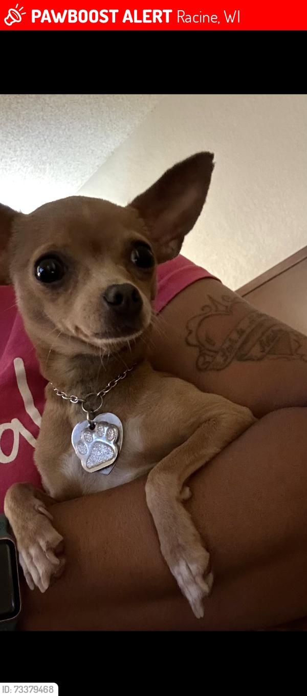 Lost Female Dog last seen Florence and Charles st. Racine, WI, Racine, WI 53402