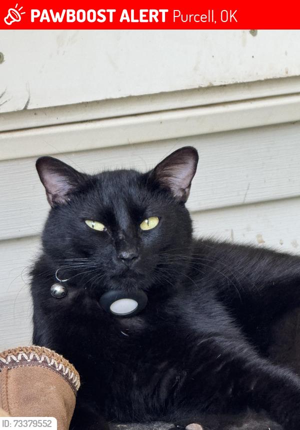 Lost Male Cat last seen Kinda by Carl’s Jr, Purcell, OK 73080