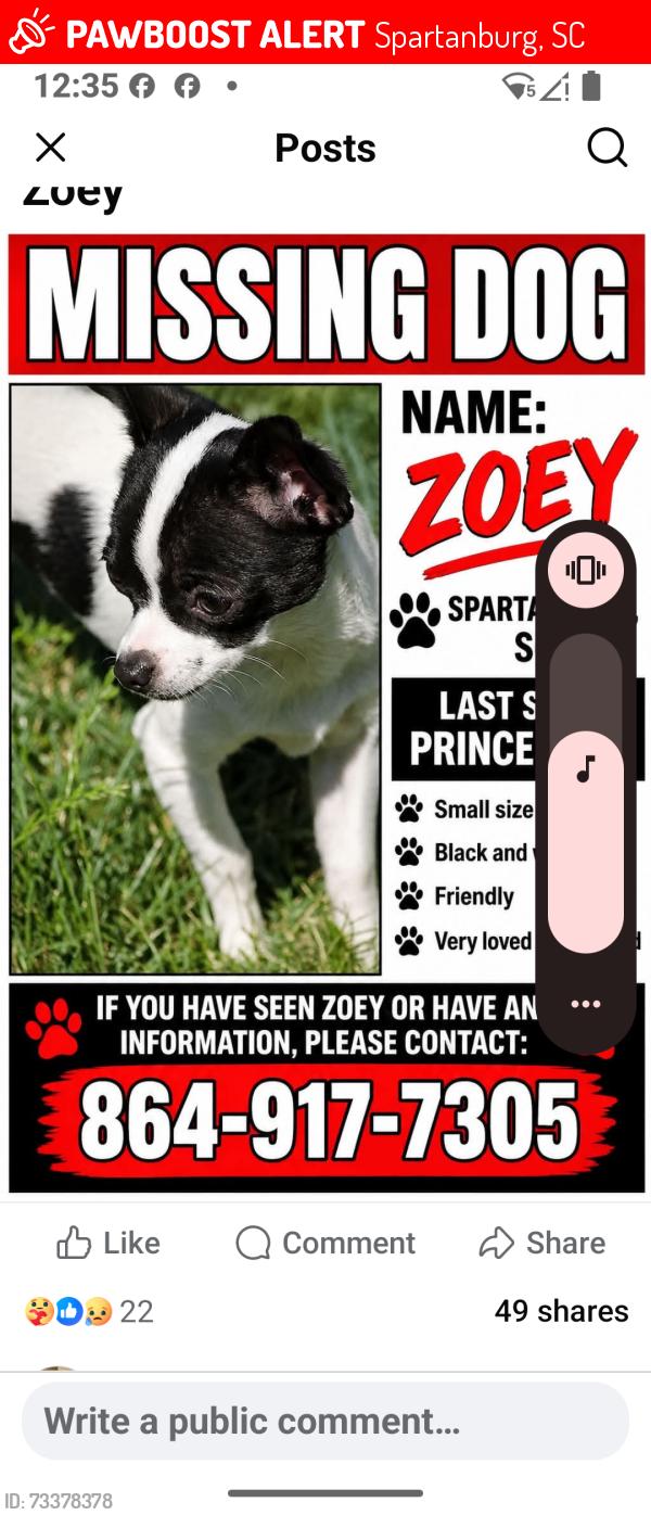 Lost Female Dog last seen Prince Hall Ln, Spartanburg, SC 29306