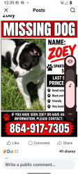 Lost Female Dog last seen Prince Hall Ln, Spartanburg, SC 29306