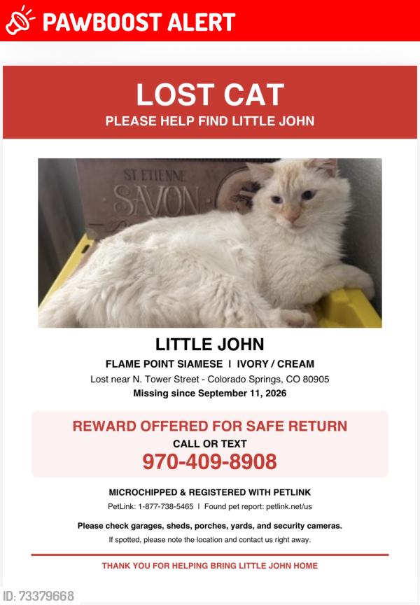 Lost Male Cat last seen Skyline ave and N Tower street, Colorado Springs, CO 80905
