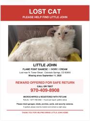 Lost Male Cat last seen Skyline ave and N Tower street, Colorado Springs, CO 80905