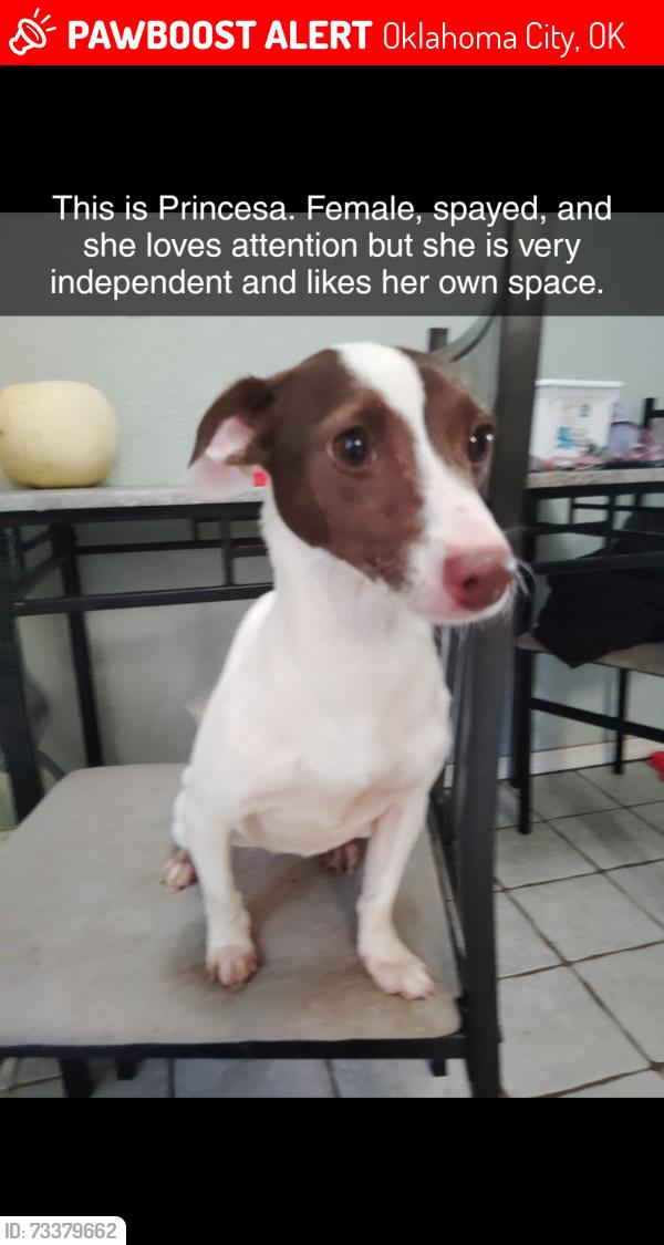 Lost Female Dog last seen Near dollar general on 47th pl, Oklahoma City, OK 73129