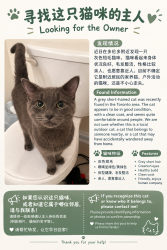 Found/Stray Male Cat last seen Warden&Finch, Toronto, ON 