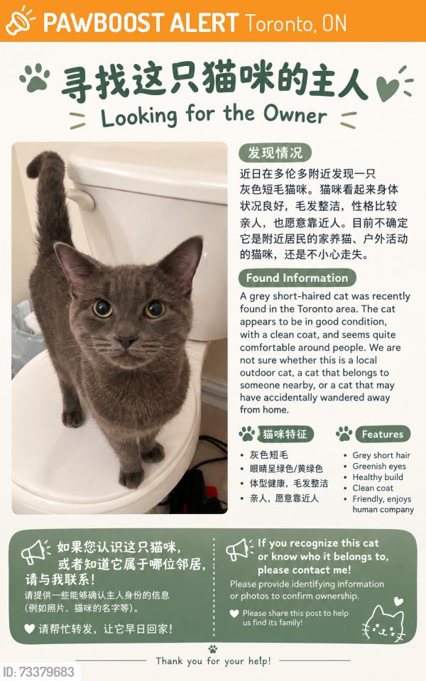 Found/Stray Male Cat last seen Warden&Finch, Toronto, ON 