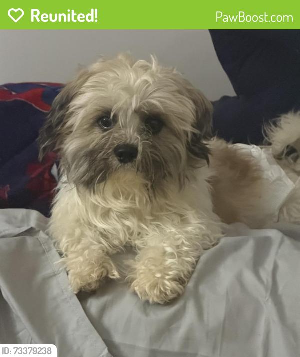 Reunited Male Dog last seen Near Hinsdell PL, Elgin, IL 60120