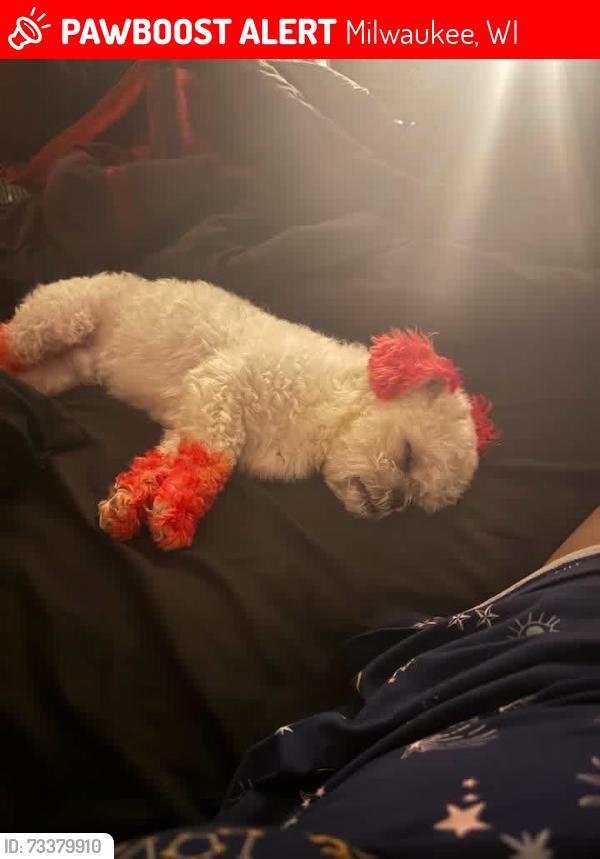 Lost Male Dog last seen Last seen near mil road and Good hope, Milwaukee, WI 53223