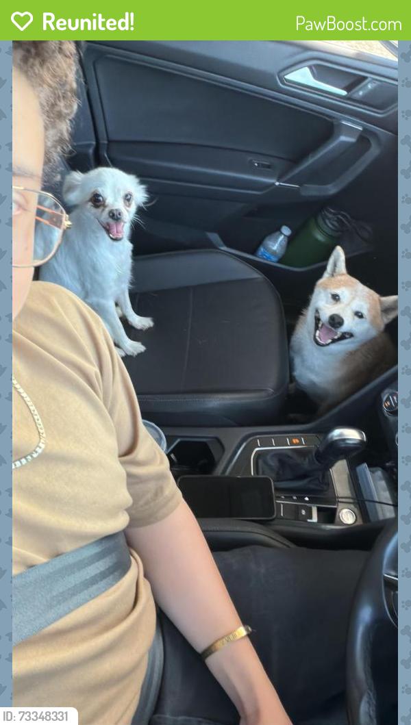 Reunited Female Dog last seen L st, Chula Vista, CA 91911