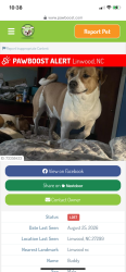 Found/Stray Male Dog last seen Beckner rd right past Riverwood Dr power line area between field and woods., Lexington, NC 27292