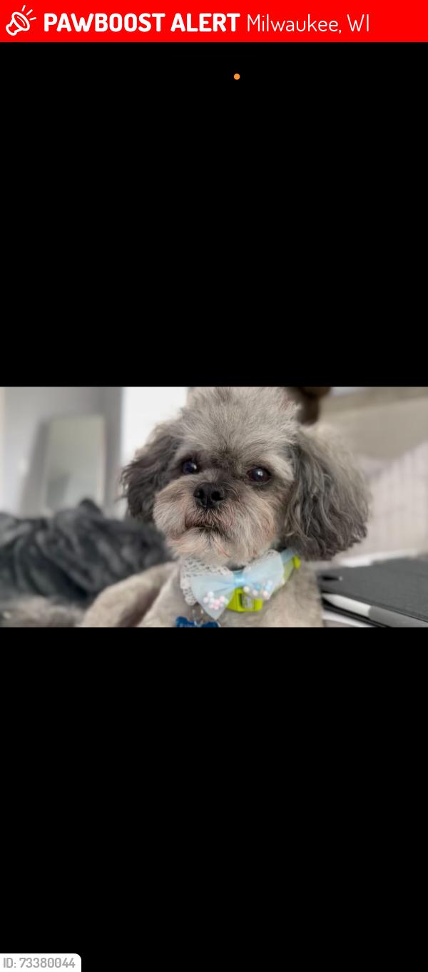 Lost Male Dog last seen Hampton Ave, Milwaukee, WI 53218