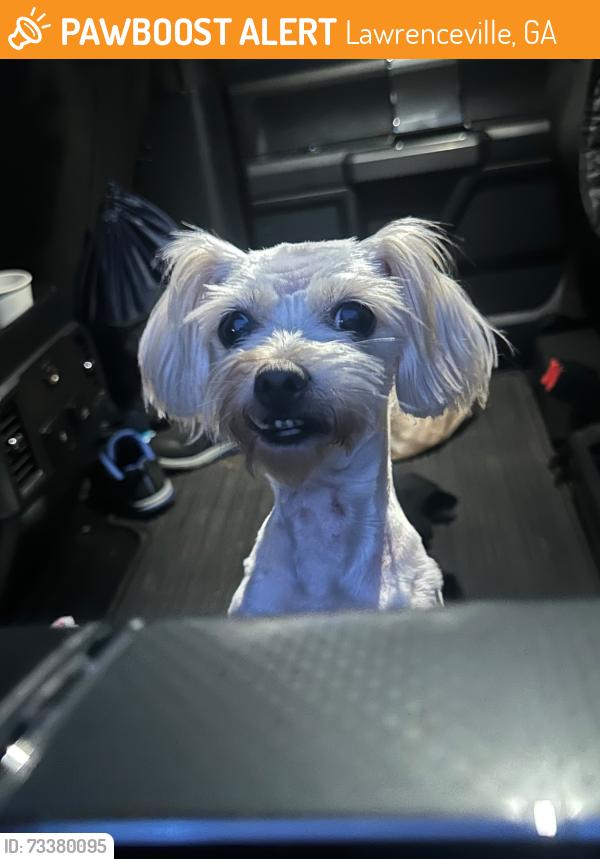 Found/Stray Female Dog last seen Was running across from the park into traffic, Lawrenceville, GA 30046