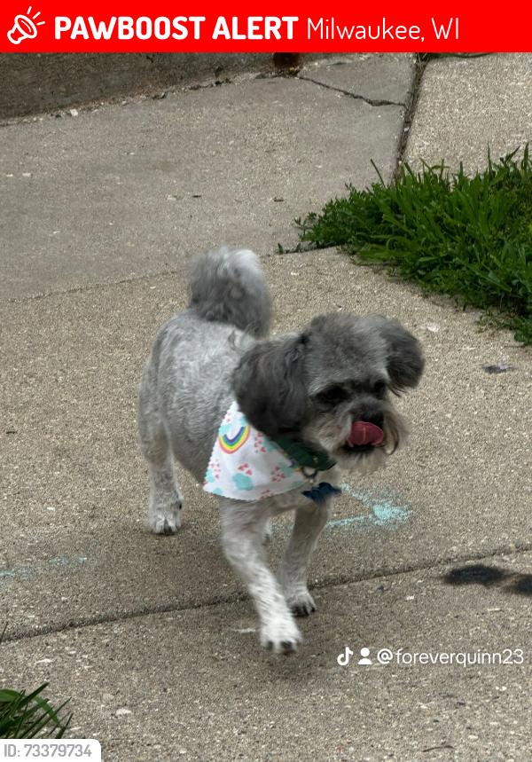 Lost Male Dog last seen 71th Hampton, Milwaukee, WI 53218