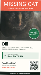 Lost Female Cat last seen Autumn Trail by Pin Oak, Royse City, TX 75189