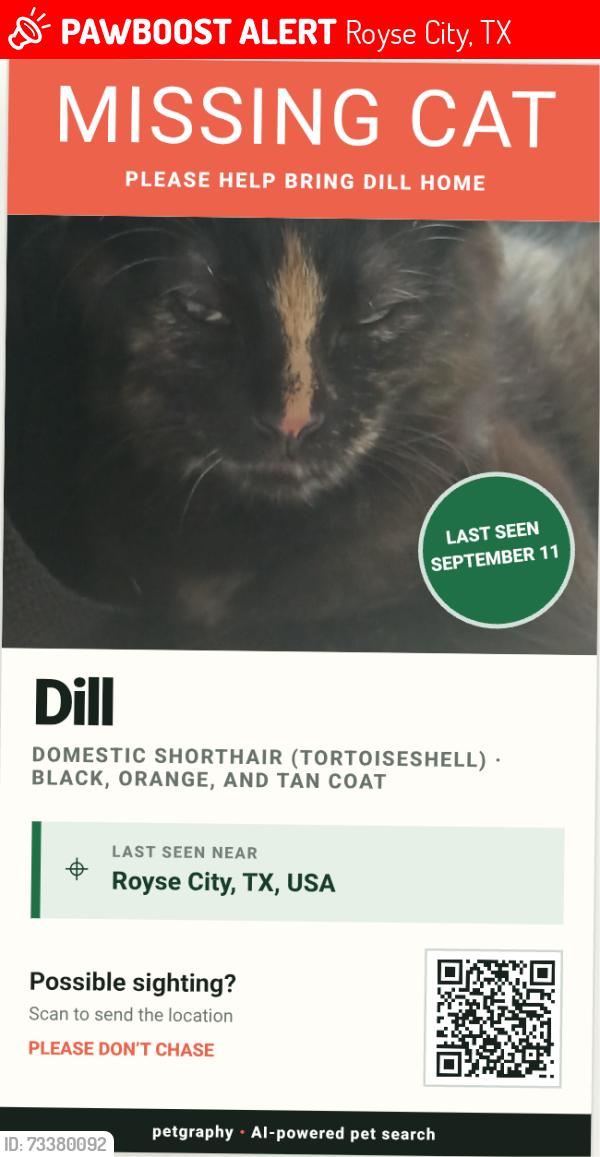 Lost Female Cat last seen Autumn Trail by Pin Oak, Royse City, TX 75189