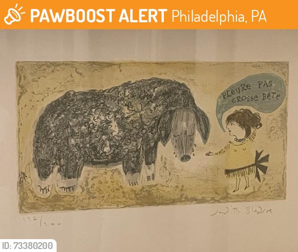 Found/Stray Unknown Dog last seen Wissahickon Ave. and W Mt Pleasant Ave., Philadelphia, PA 19119