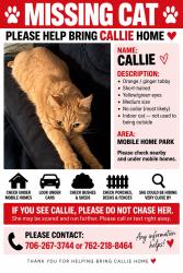 Lost Female Cat last seen Near Creek Side Dr Grovetown GA 30813, Grovetown, GA 30813