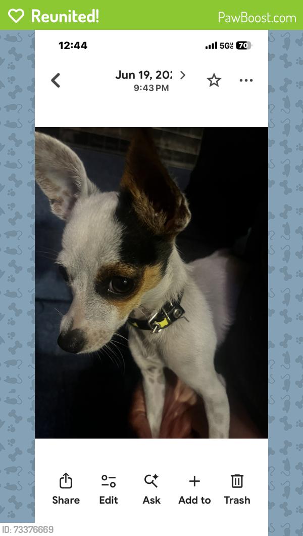 Reunited Female Dog last seen Division St., National City, CA 92113