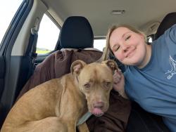 Reunited Female Dog last seen Oasis Drive/Ritchie Creek, Blue Ridge, GA 30513