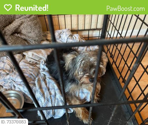 Reunited Male Dog last seen Complex Across from Miramar Community Park, San Diego, CA 92126
