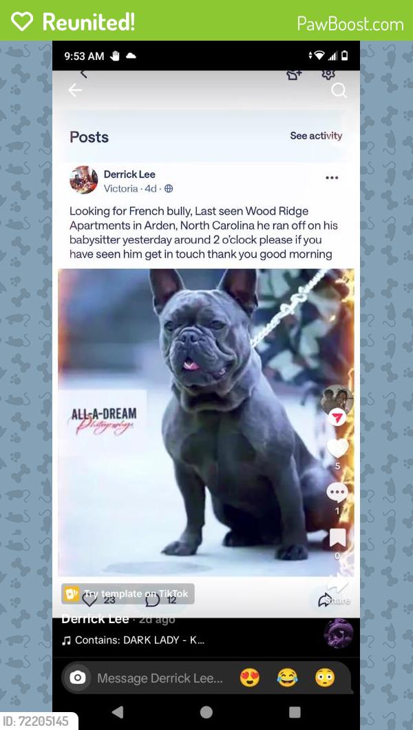 Reunited Male Dog last seen Glenn Bridge Rd, Arden, NC 28704, USA, Asheville, NC 28704