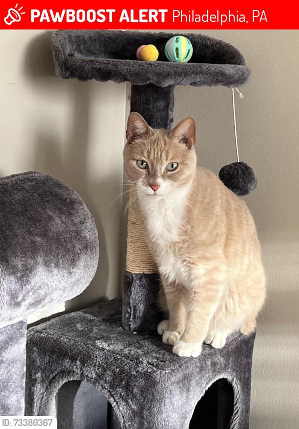 Lost Male Cat last seen Near Garvey Dr, Philadelphia, PA 19114