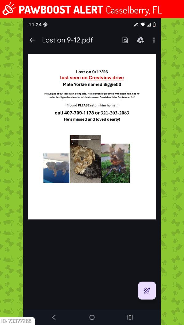 Lost Male Dog last seen Crestview and n Winter Park dr, Casselberry, FL 32707