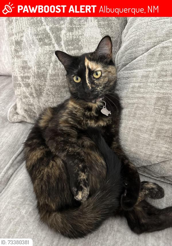 Lost Female Cat last seen Arroyo Vista Blvd and Tierra Pintada Blvd, Albuquerque, NM 87120