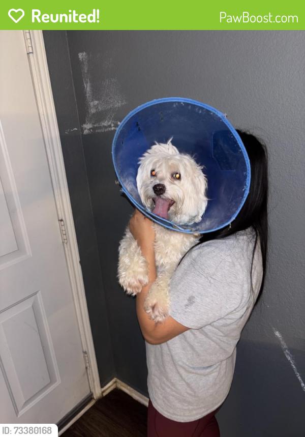 Reunited Male Dog last seen Royal Burgess Dr, Fort Worth, TX 76135, USA, Fort Worth, TX 76135