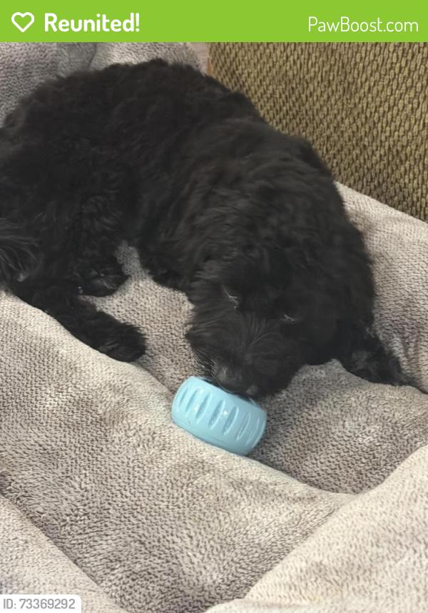 Reunited Male Dog last seen Riverfront apmts, South Salt Lake, UT 84119