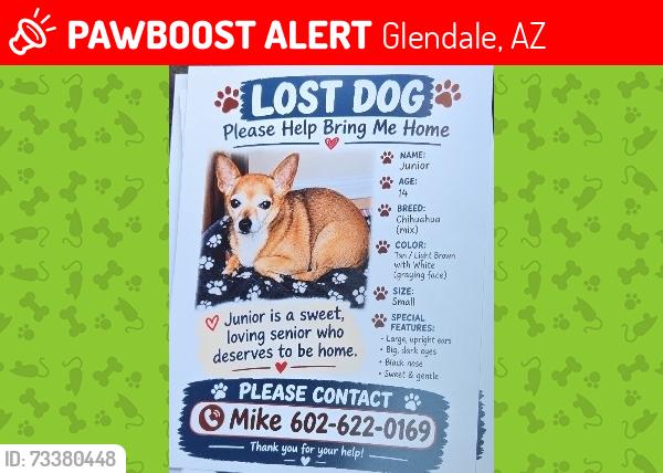 Lost Male Dog last seen 59th Ave and Glendale on W Nancy Road, Glendale, AZ 85306