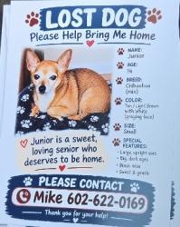 Lost Male Dog last seen 59th Ave and Glendale on W Nancy Road, Glendale, AZ 85306