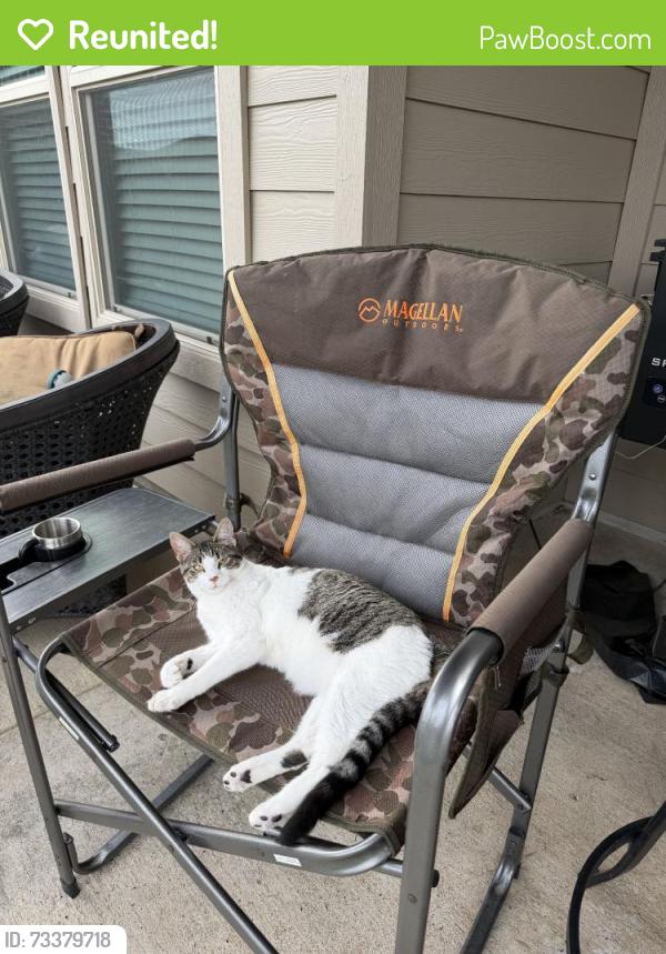 Reunited Female Cat last seen Near Red Draw Rd, Fort Worth, TX 76177, USA, Fort Worth, TX 76177