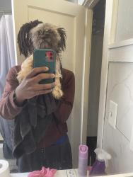 Lost Male Dog last seen Holly hills, St. Louis, MO 63109