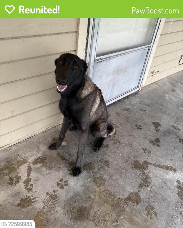 Reunited Female Dog last seen Esmail, Keyes, CA 95328