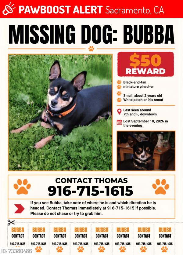 Lost Male Dog last seen F & K STREET, Sacramento, CA 95814